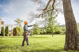 Best Tree Mulching  in Wharton, NJ